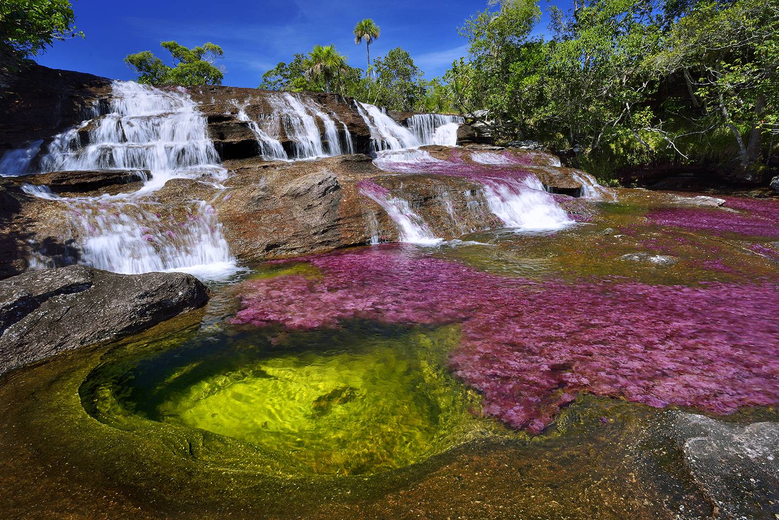 Guía de Viajes Caño Cristales Colombia, Meta, La Macarena, River Colombia, Planes de Viaje, Recomendaciones para viajar a Caño Cristales, Dónde queda, Cómo llegar