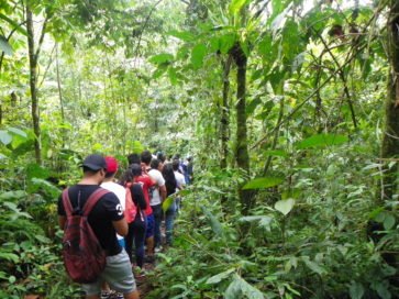 Free Tour Barbas Bremen - Eje Cafetero Colombia