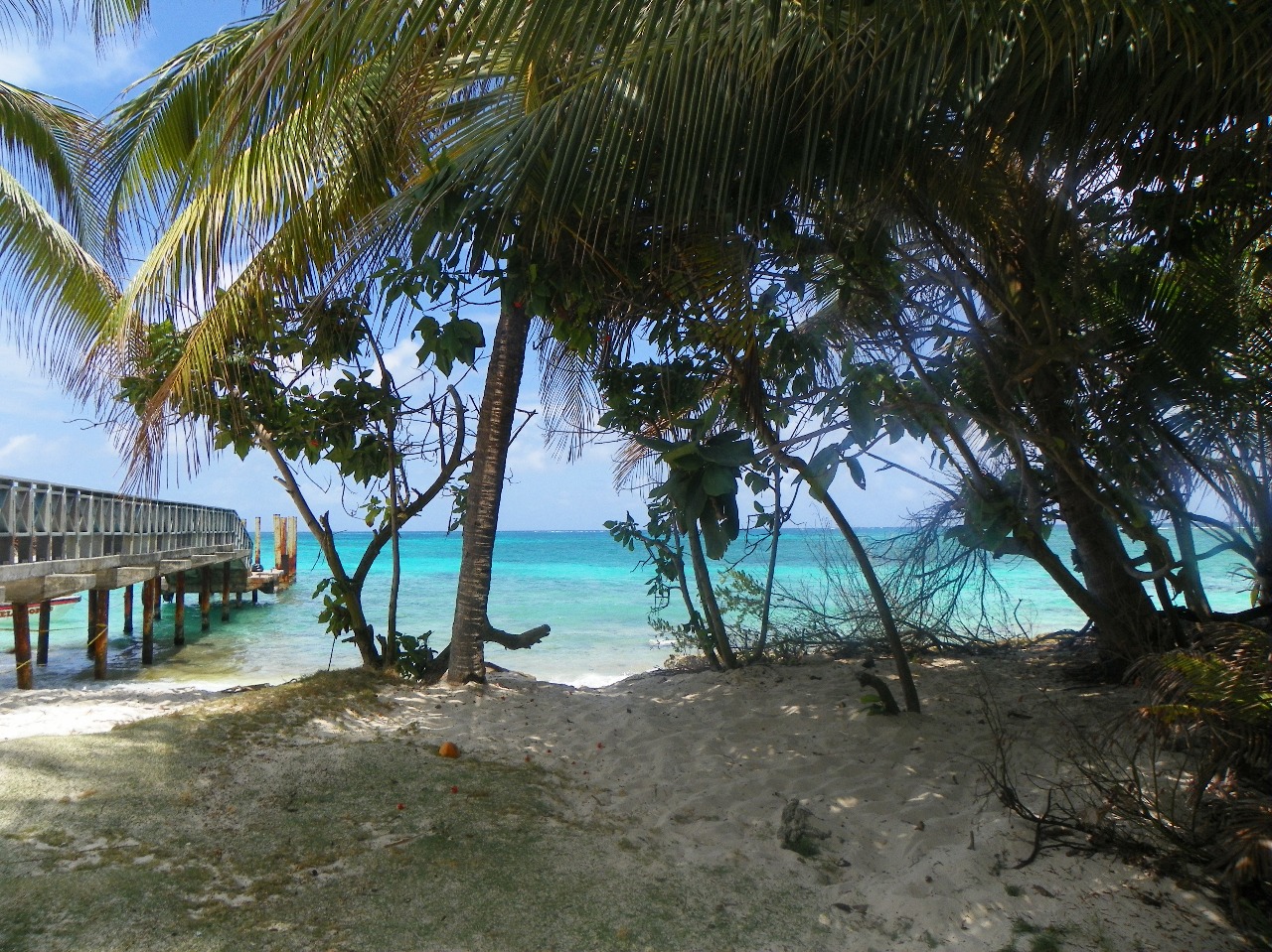 Johnny Cay - San Andrés Islas - Colombia - Colombiatours.travel - Blog - San Andrés Islas mucho más que mar