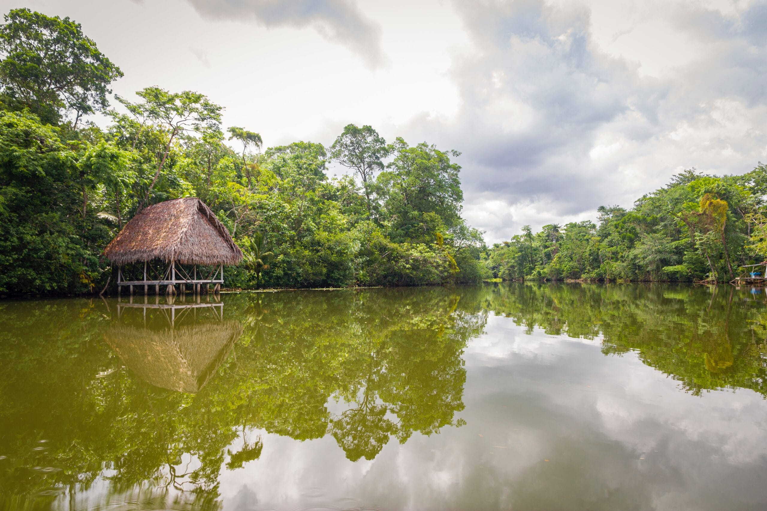 Amazonas