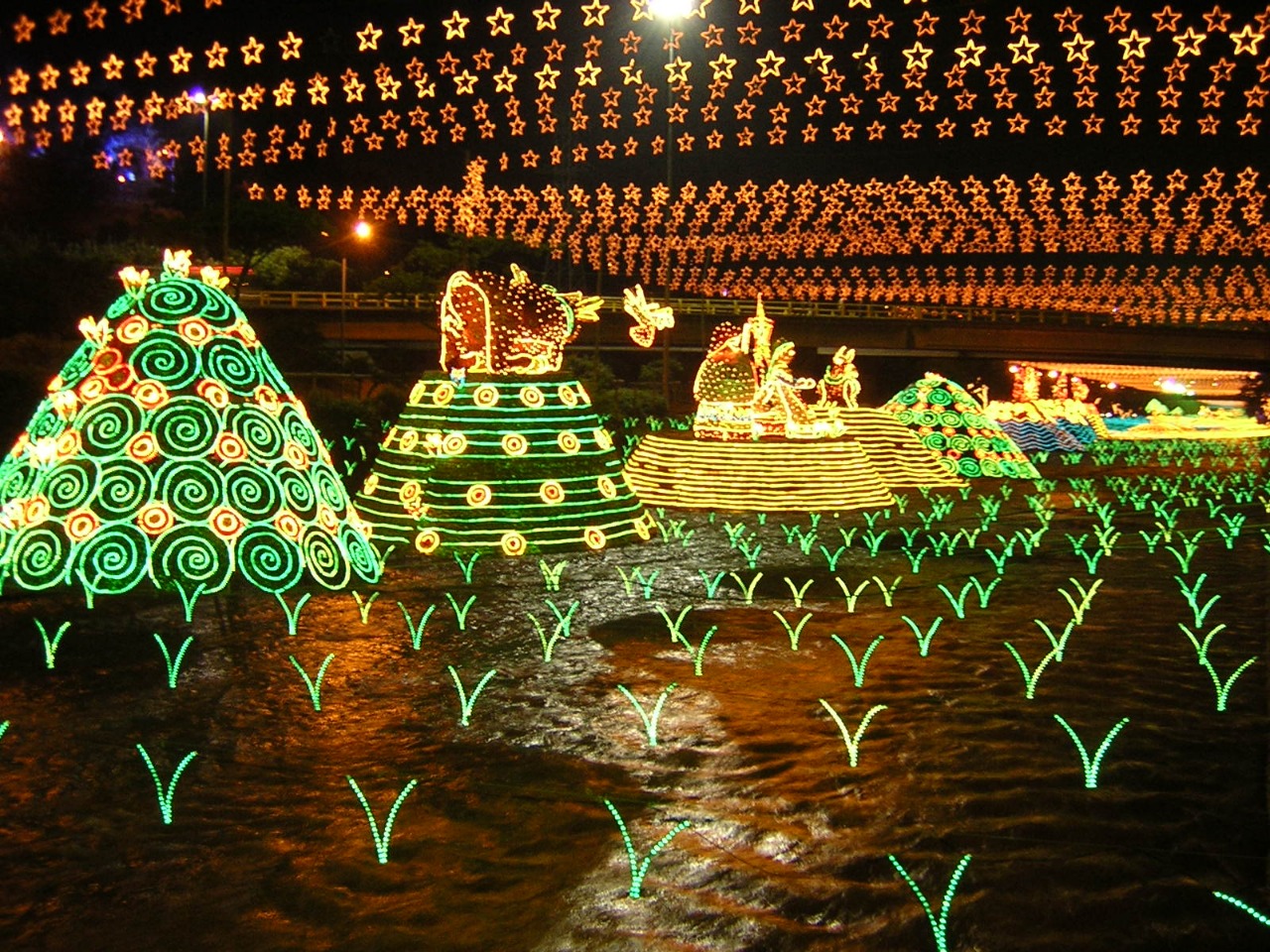 Tour de Luces Medellín - Alumbrado Navideño - Colombia - Plan Turístico - Planes de Navidad en Colombia