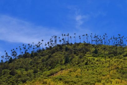 Cabaña Romántica Valle del Cocora Eje Cafetero Colombia Plan eje cafetero tradicional - Eje Cafetero Colombiano