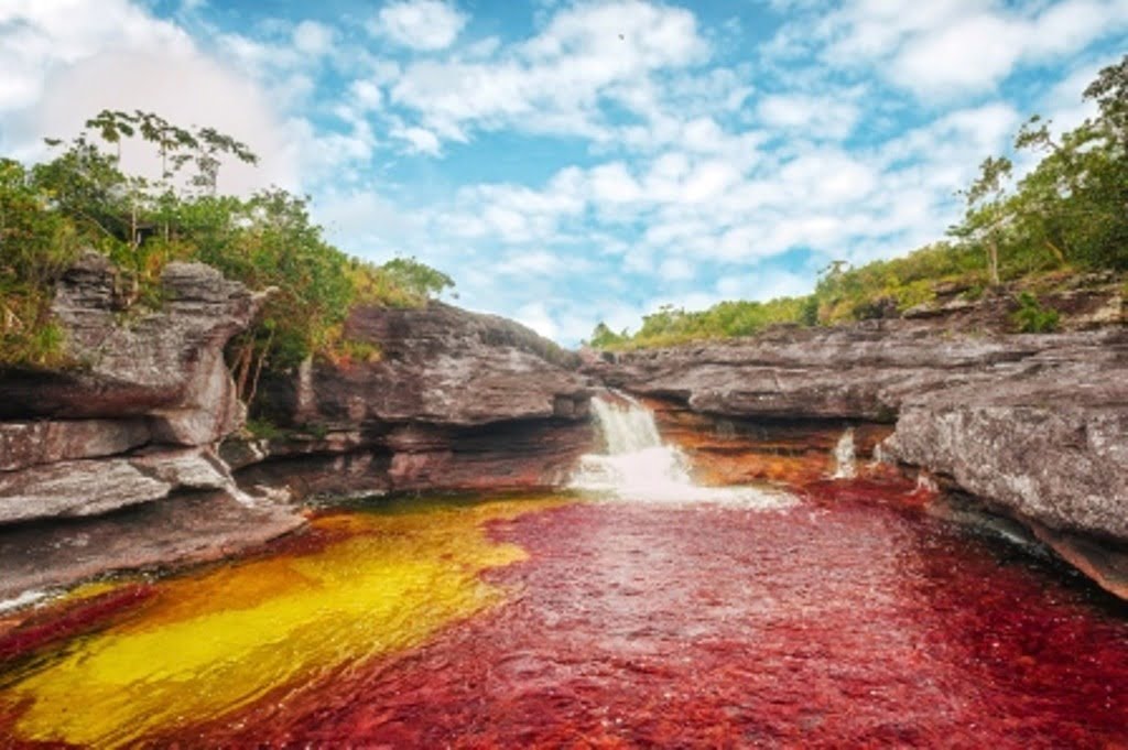 Caño Cristales Colombia Guía de Viajes Planes y Actividades