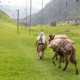 Arma tu plan al Eje Cafetero - Planea tu viaje a Colombia - ColombiaTours.Travel