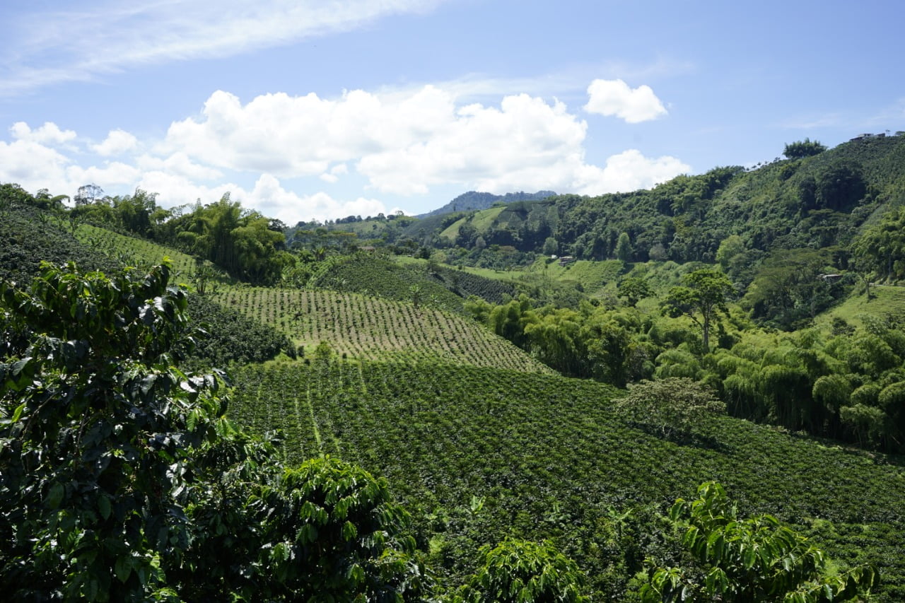 Guía Turística Eje Cafetero - Guía de Viajes Colombia - Paisaje Cultural Cafetero