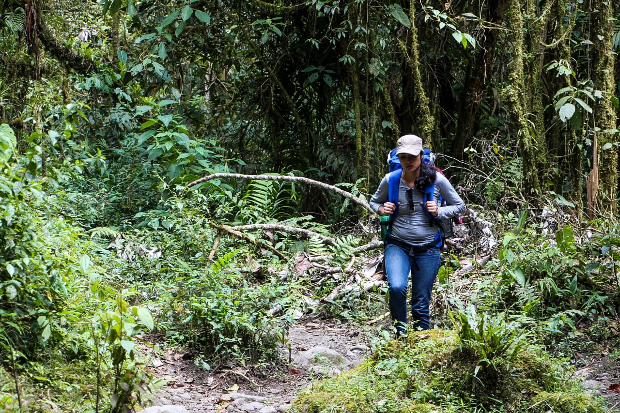 Travel Planner Johana La pastora