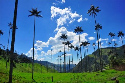 ValleCocora