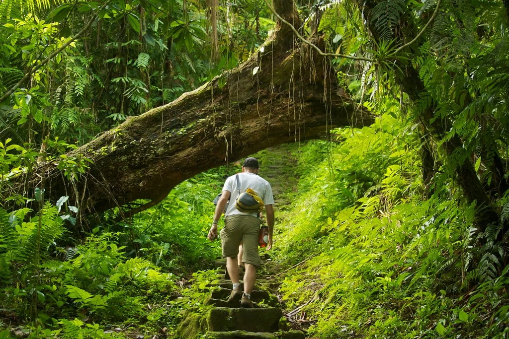 ciudad perdida colombia