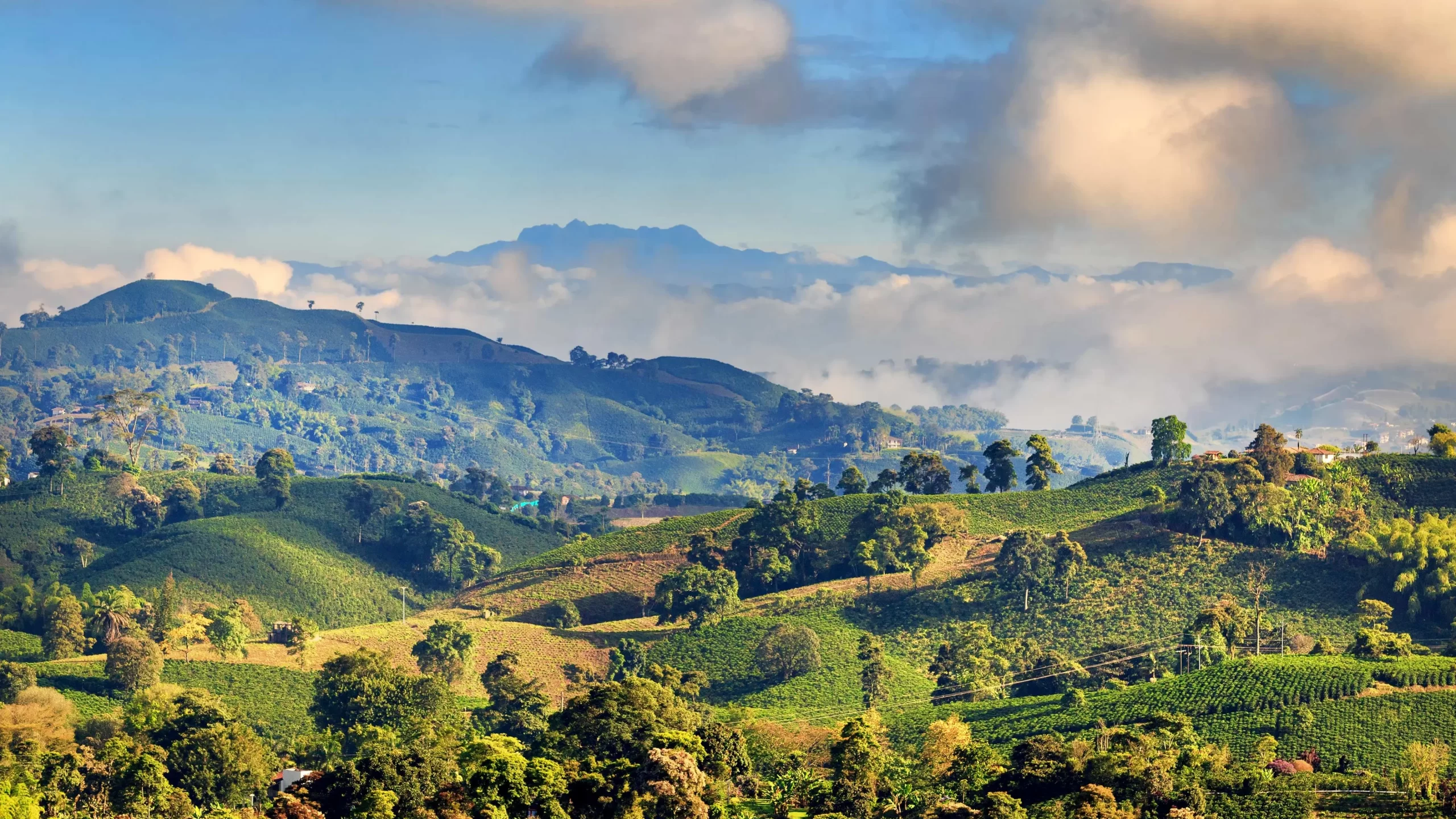 Zona montañosa, Eje Cafetero