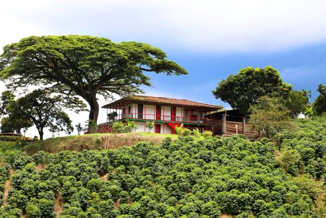 Finca el ocaso, Salento Quindío, Fincas Eje Cafetero