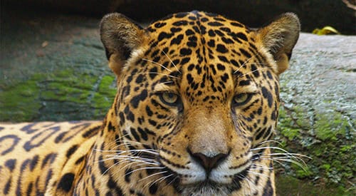 Parque de la Conservación, qué hacer en medellín