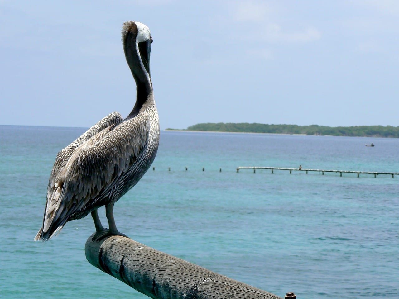 Cartagena, Colombia, Acuario, Isla