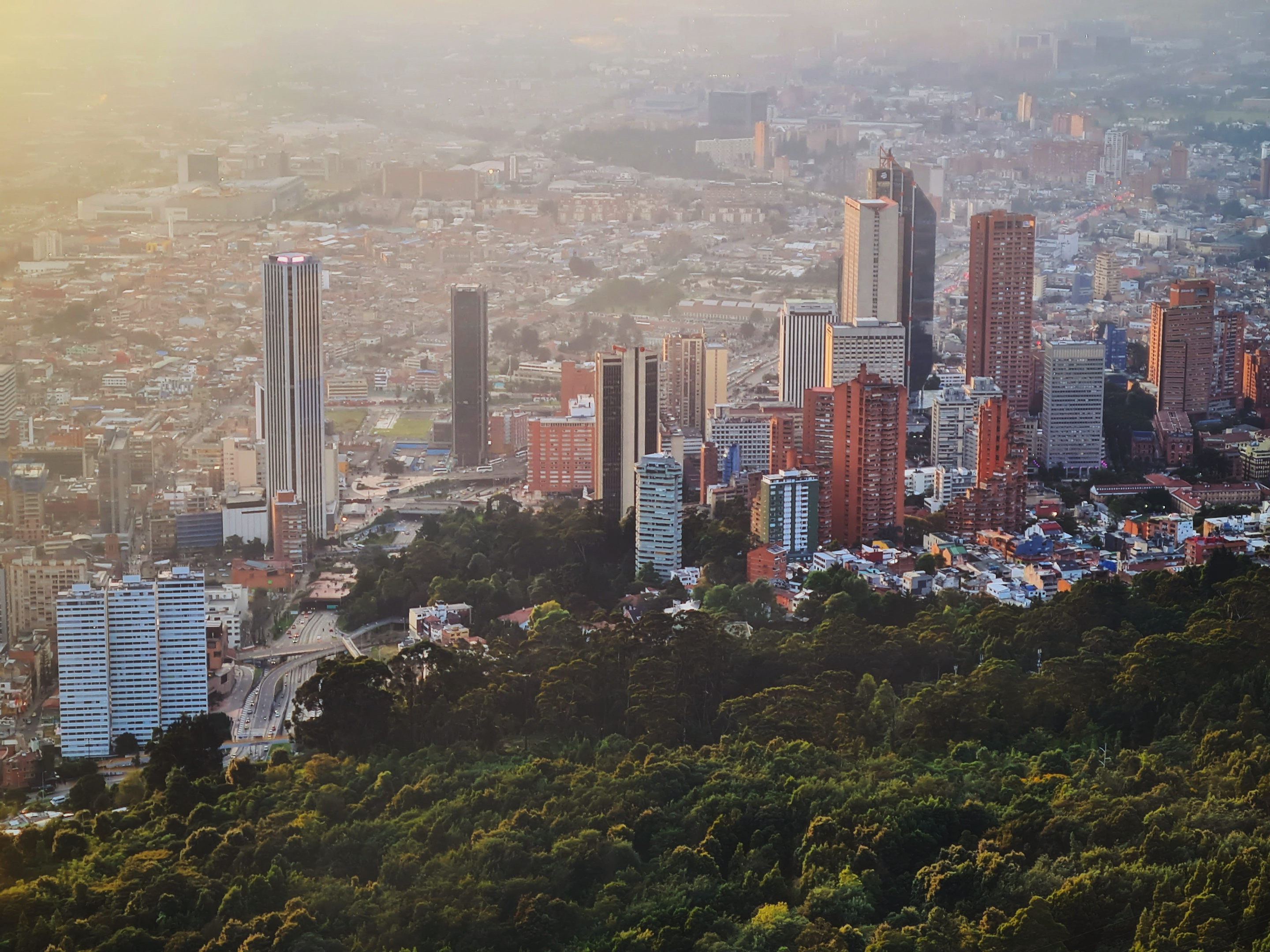 colombia, bogotá, cathedral