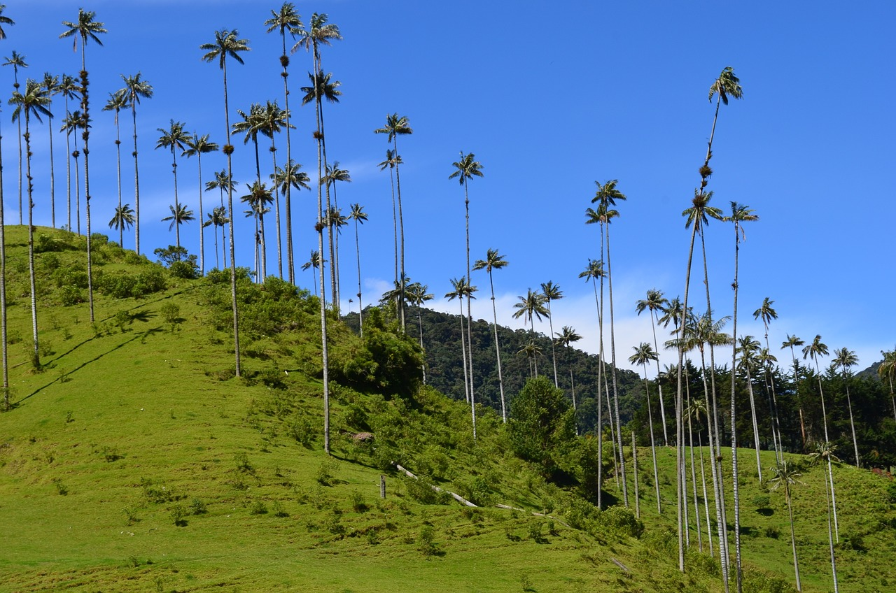 Territorio, Colombia