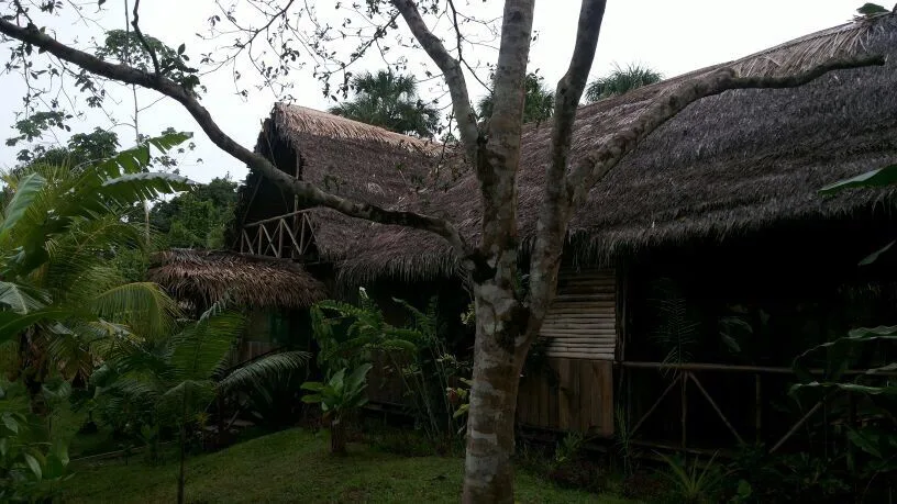 Plan Amazonas Natura Park Colombia Viajes