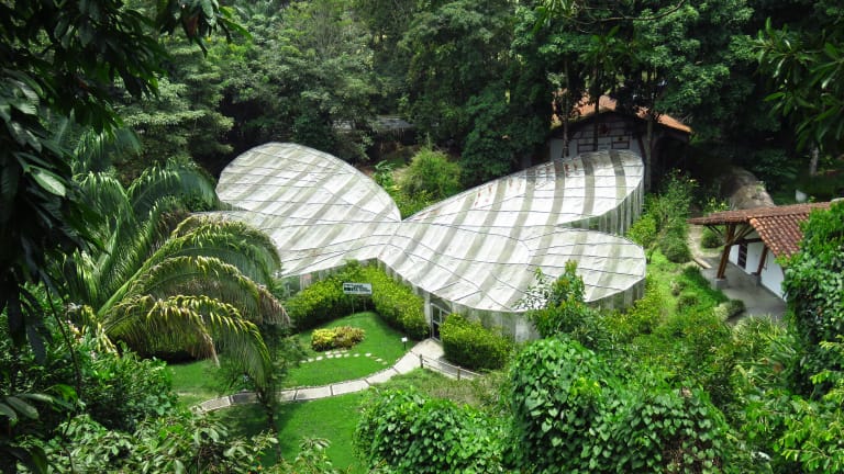 Jardin Botanico 1