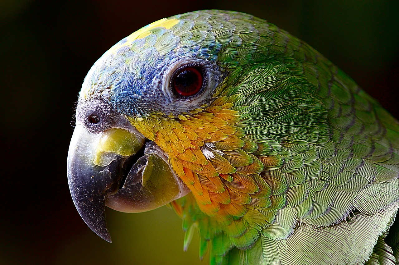 Lugares turísticos en Colombia