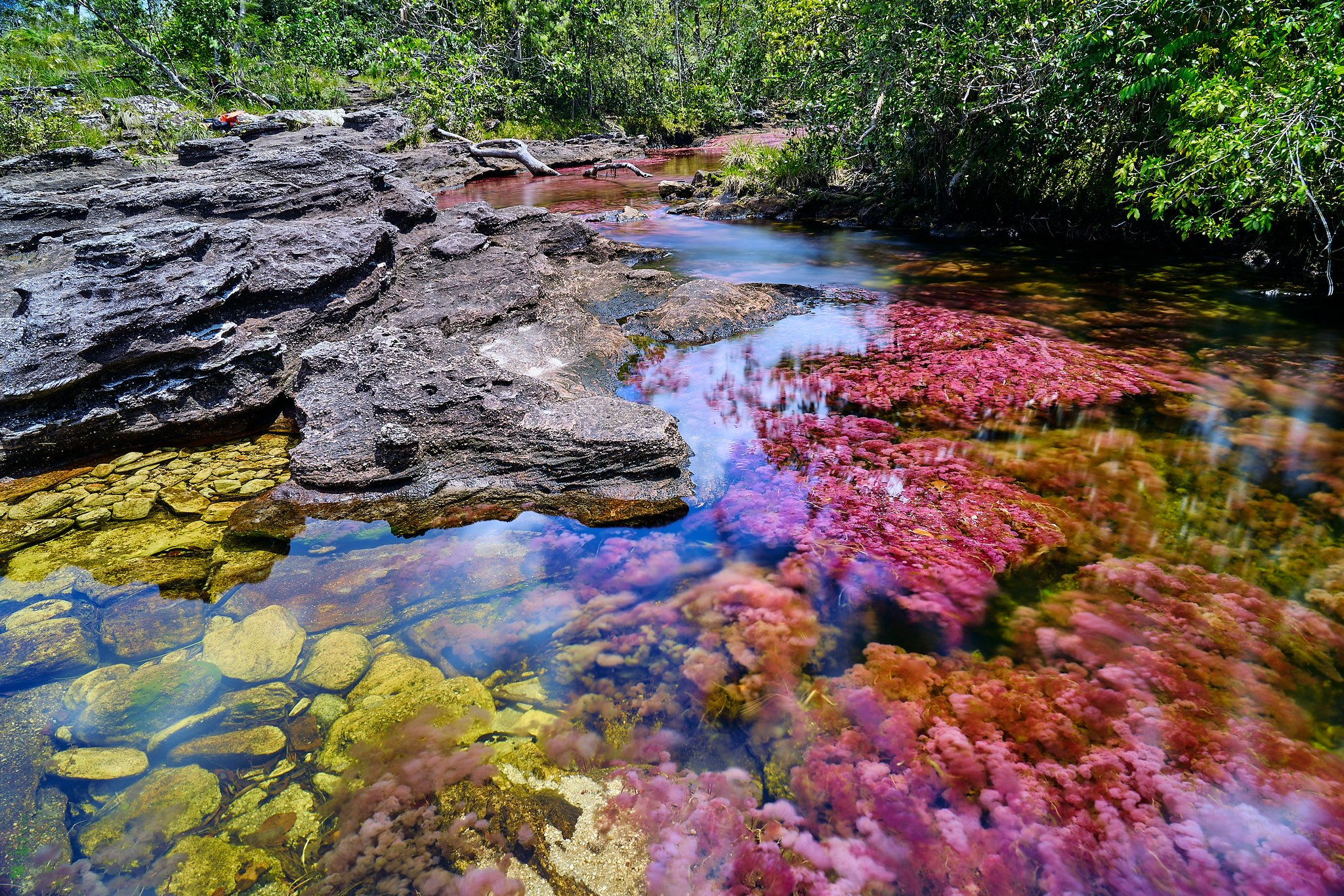 caño cristales el rio arco iris más hermoso del mundo- serranía de la macarena