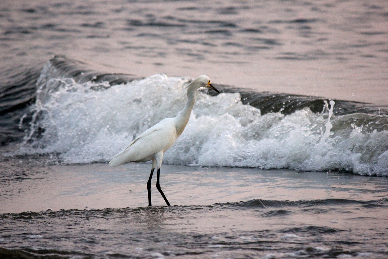 mejores playas de colombia