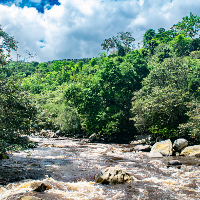 parques nacionales naturales, áreas naturales