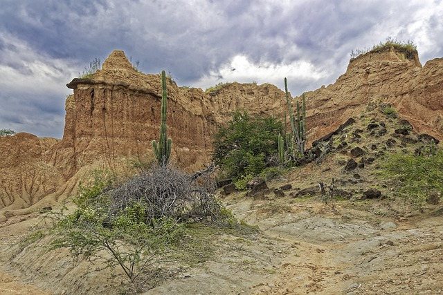 colombia, tatacoa desert, desert