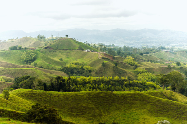 filandia colombia