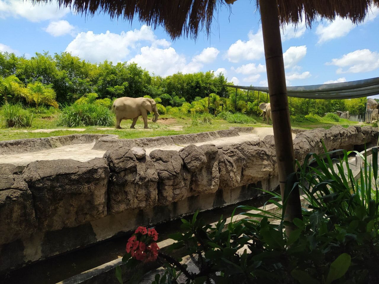 Pueblos de Pereira Colombia