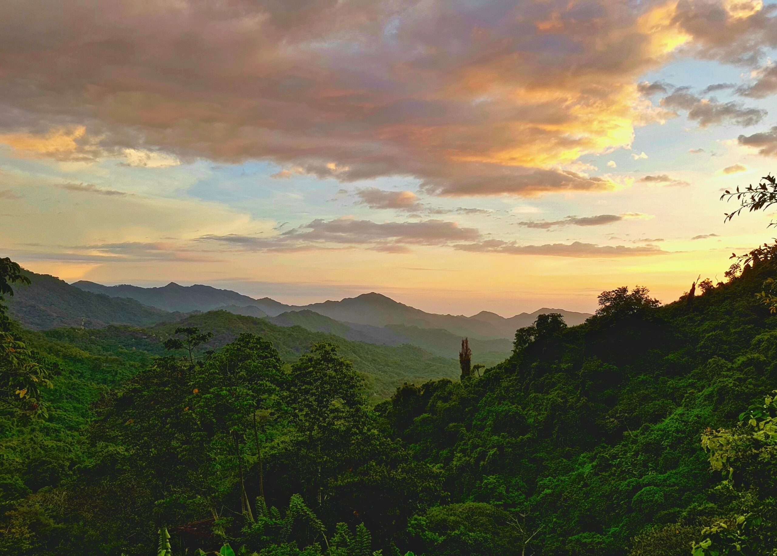 minca santa marta