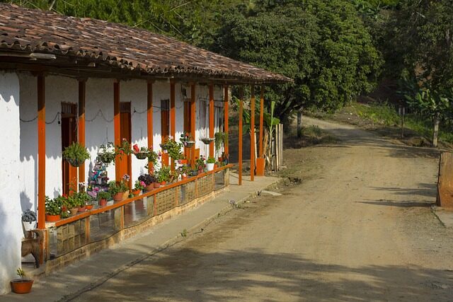 colombia, rural, coffee axis