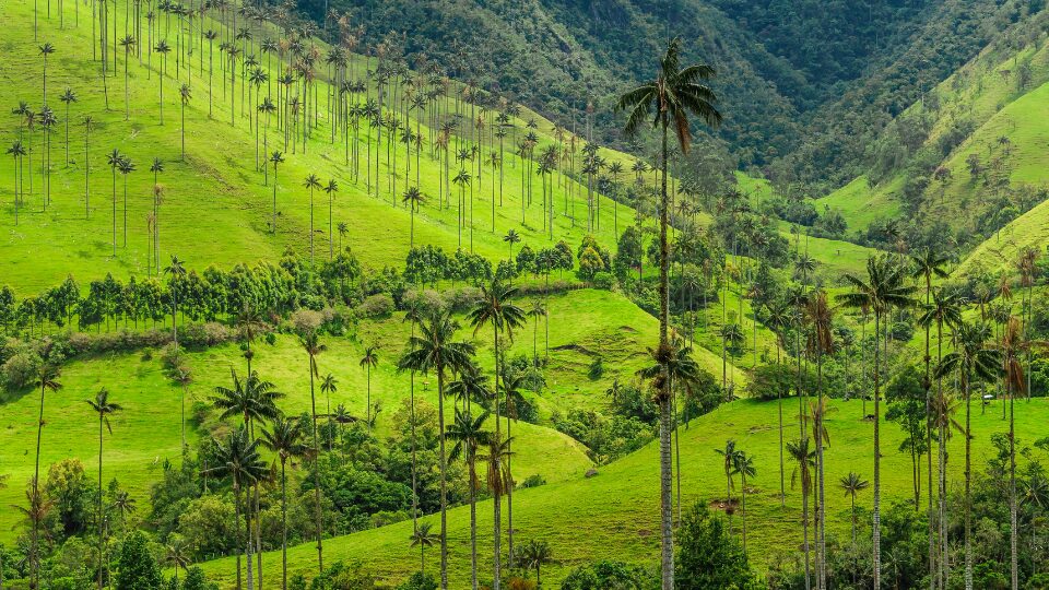 viaje a colombia, san andrés y providencia