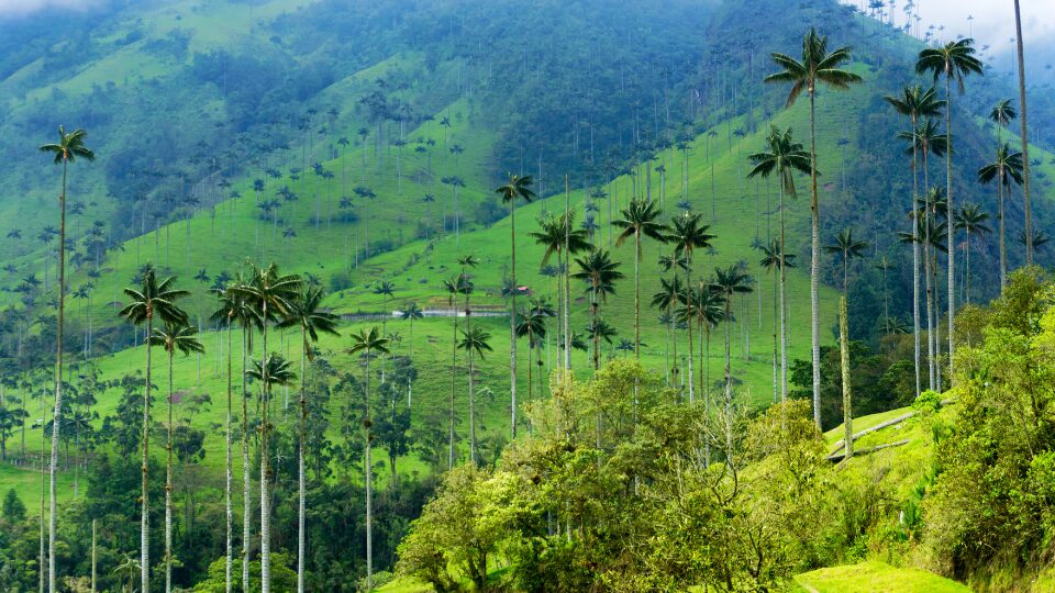 Que ver en Colombia, visitar en colombia